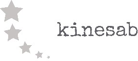 logo kinesab