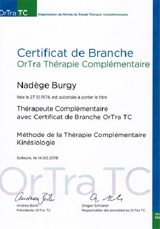 Kinésiologue, Thérapeute complémentaire avec certificat de branche OrTra TC 